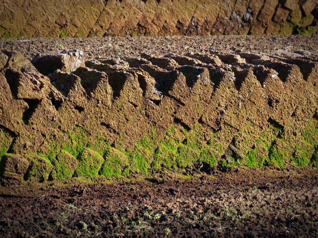 What Is Peat and How Does It Affect Whisky?